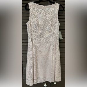 Eva Mendes Light Pink Lace Floral A-Line Dress Sleeveless Round Neck Size 8